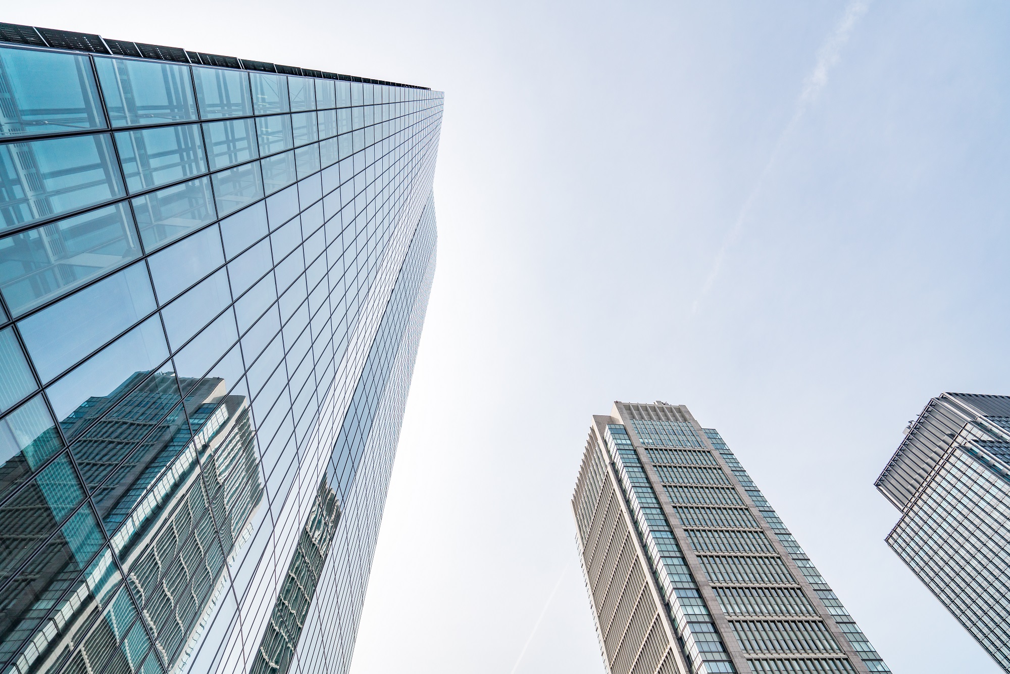 Receivables Insurance